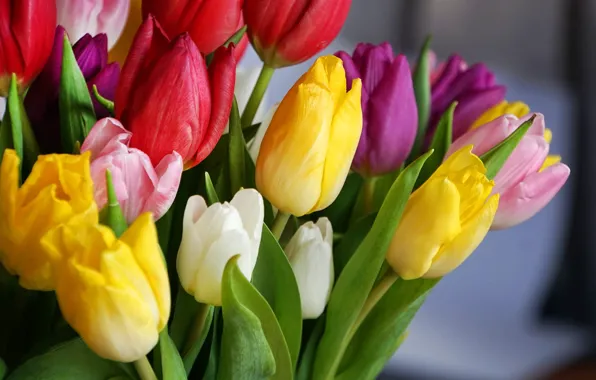 Picture flowers, yellow, red, bouquet, spring, tulips, pink, white