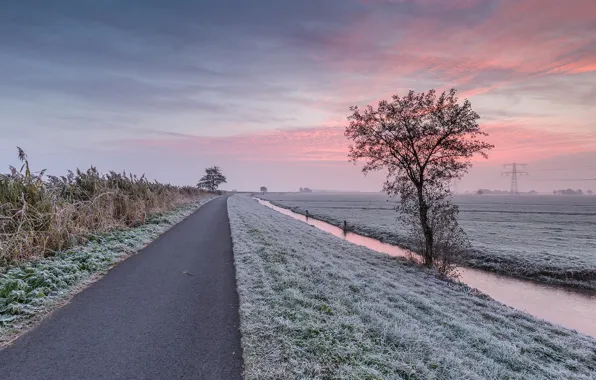 Frost, road, autumn, morning