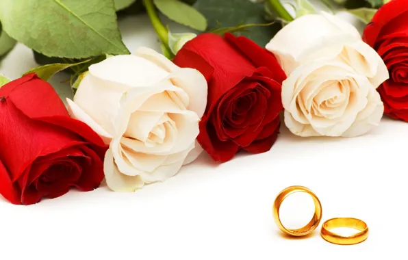 Roses, ring, rose, ring, wedding, Wedding