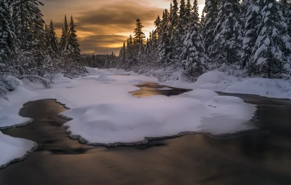 Winter, frost, forest, water, clouds, snow, landscape, sunset