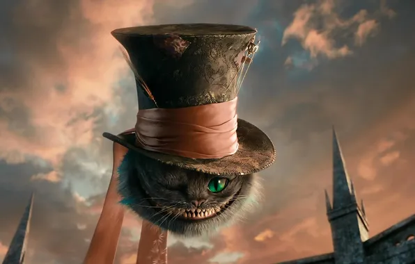 Cat, hat, Alice in Wonderland, Cheshire cat, Cheshire