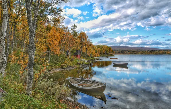 Autumn, trees, river, boat, house