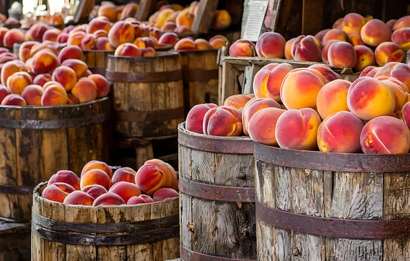Summer, harvest, fruit, peaches, a lot, barrels, ripe, tubs