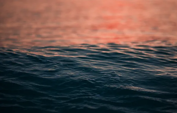 Sea, water, sunset, ruffle, sea, sunset, water, ripple