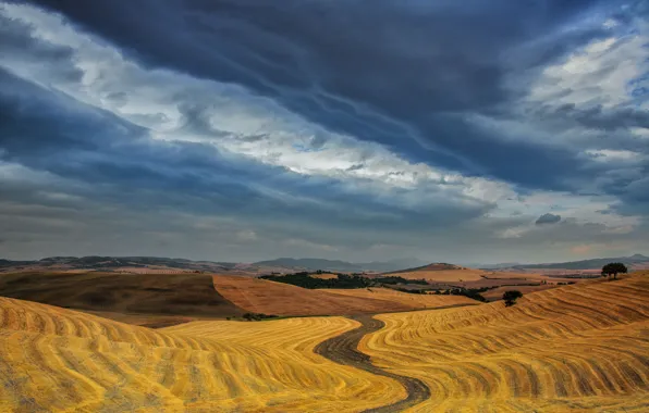 Field, the sky, clouds