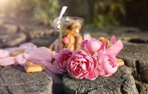 Flowers, stump, roses, bouquet, Bank, fabric, pink, bokeh
