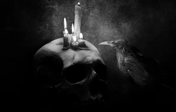 Picture background, skull, candles, Raven, black and white