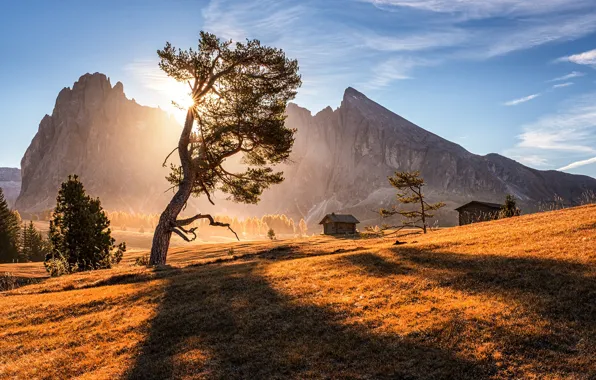 Field, autumn, the sun, clouds, light, mountains, fog, tree