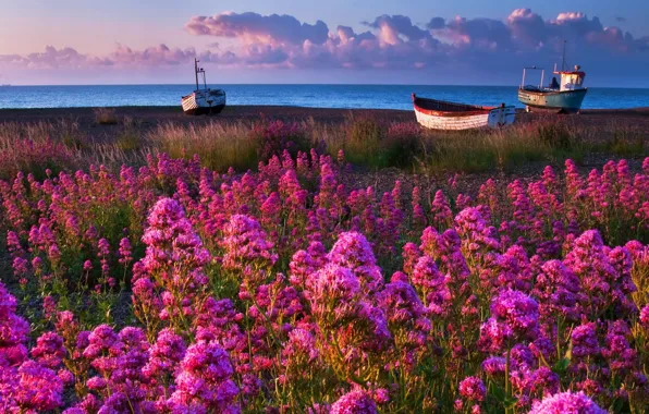 Sea, shore, boats