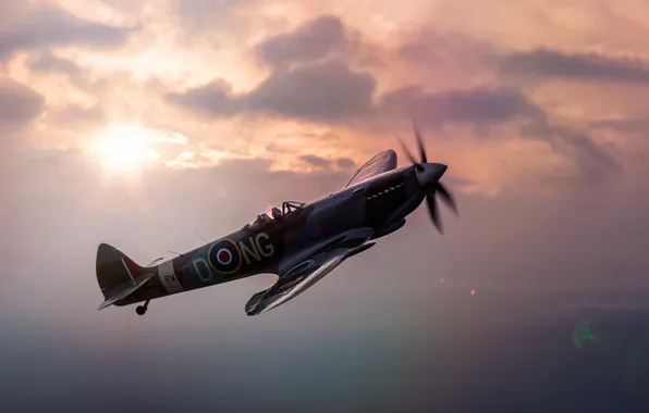 Fighter, scout, Supermarine Spitfire, interceptor, LF Mk