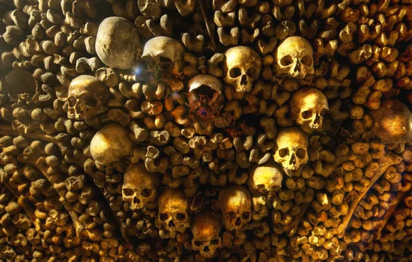 Picture death, Wallpaper, France, bones, skull, wallpaper, horror, scary