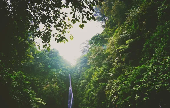 Picture greens, hills, waterfall