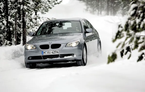 Winter, Trees, Forest, BMW