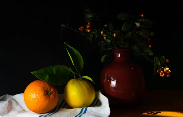 Leaves, light, branches, berries, the dark background, table, lemon, orange