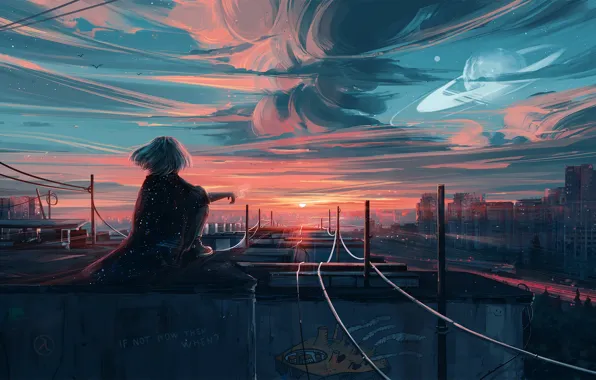 The sky, girl, the city, hair, back, view, rails, art