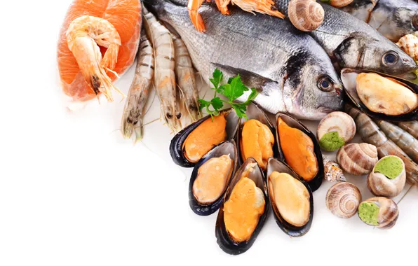Fish, shrimp, mussels, cuts, shellfish