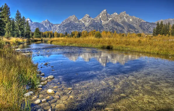 Picture autumn, grass, trees, mountains, stream, stones, the bottom, USA