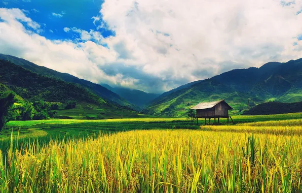 Picture field, the sky, mountains, house, valley