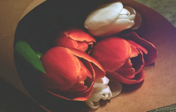 Picture flowers, red, tulips, white