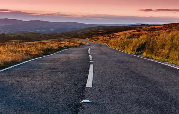 Road, landscape, morning