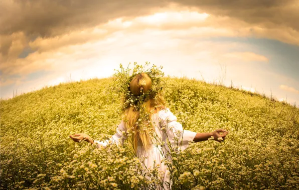 The SKY, FIELD, DRESS, FLOWERS, CHAMOMILE, MOOD, WREATH, SUNDRESS