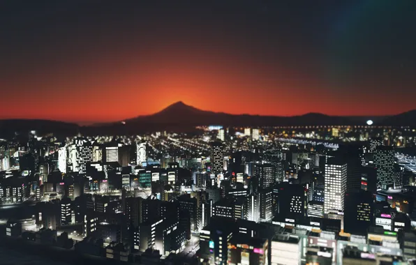 Landscape, night, the city, cities skylines