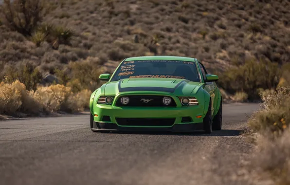Mustang, Ford, Green, Ford, Muscle, Mustang, Muscle, Car