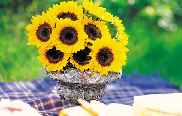 Picture greens, sunflowers, blanket, vase, picnic