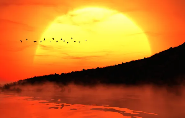 Picture the sun, sunset, birds, fog, shore, silhouettes