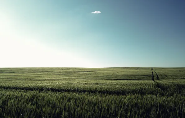 The sky, grass, cloud, meadow, quiet, Solnechnye