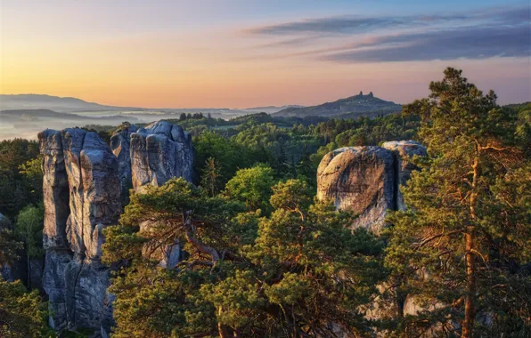 Trees, landscape, mountains, nature, rocks, morning, Czech Republic, reserve