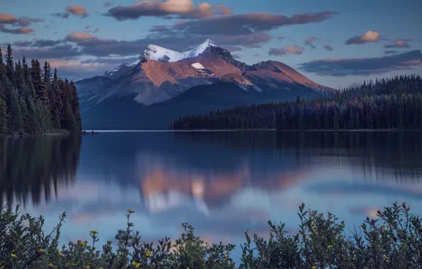Landscape, mountains, nature, lake, the evening, Canada, Albert, Jasper