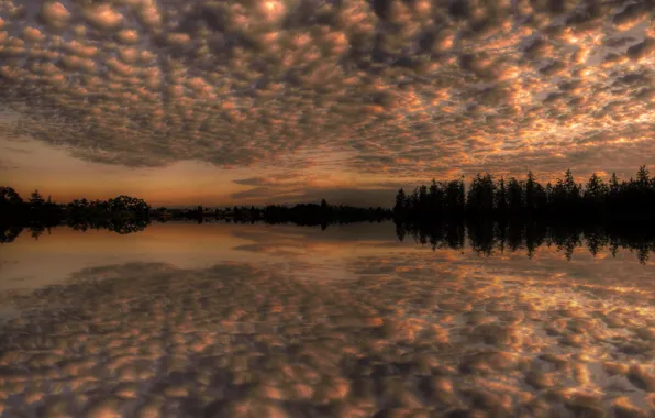 The sky, clouds, trees, lake, reflection
