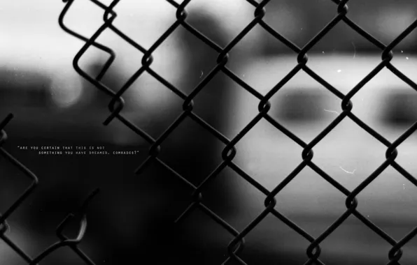 Picture the fence, wire, words, the expression