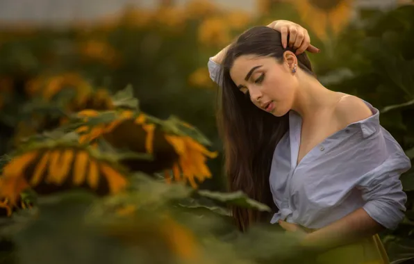 Picture girl, sunflowers, pose, hands, shoulder, bokeh, Alex Darash, Light Mishiev Was