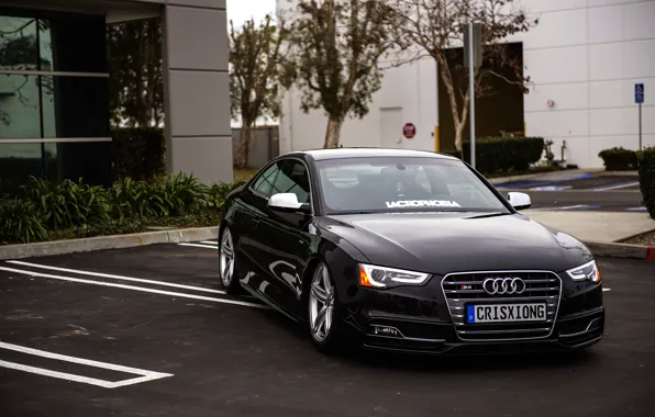 Audi, Audi, black, black, front