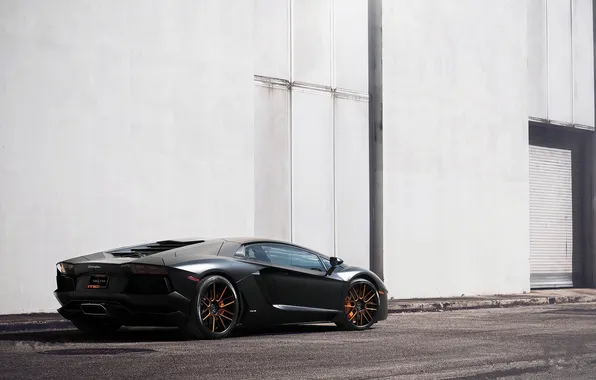 White, black, building, shadow, Lamborghini, white, black, rear view