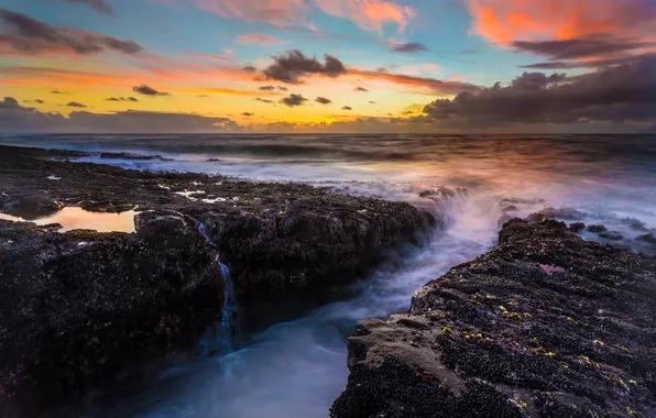 Landscape, stones, the ocean, dawn, shore, Oregon Coast, Cape Arago State Park