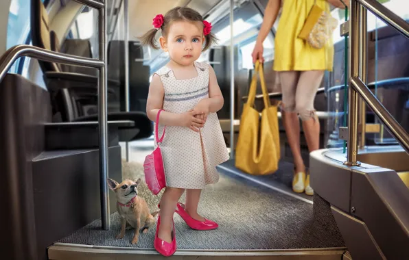 Picture dog, girl, bus