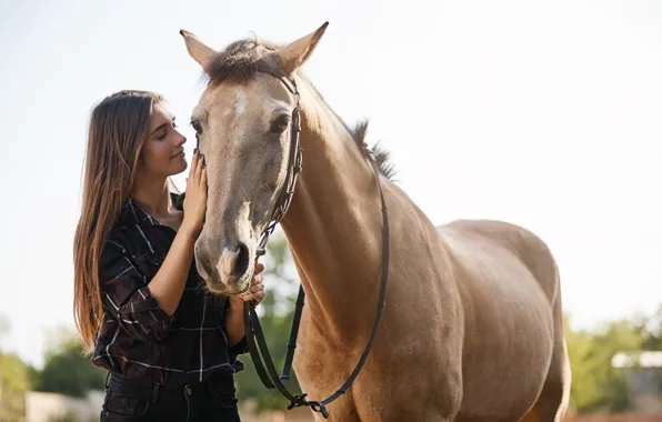 The sky, look, girl, light, pose, horse, horse, hand