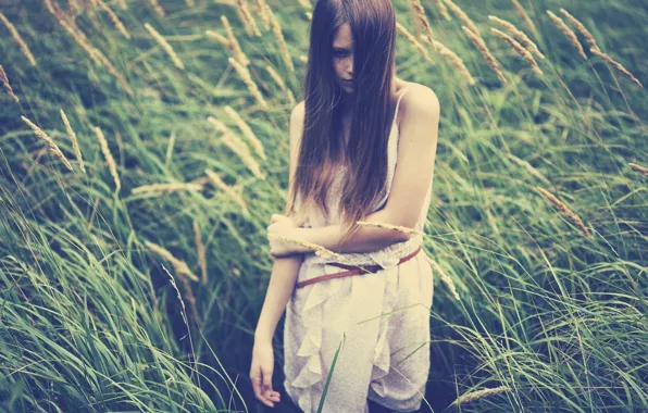 Picture wheat, grass, girl, nature, background, the wind, mood, hair