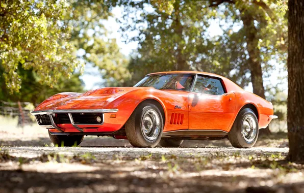 Trees, orange, Corvette, Chevrolet, 1969, Chevrolet, classic, the front