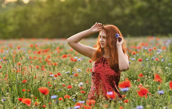 Summer, girl, flowers, nature, pose, Maki, hands, dress