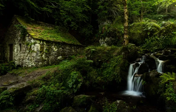 Forest, house, stream, France, waterfall, France, Auvergne, Auvergne