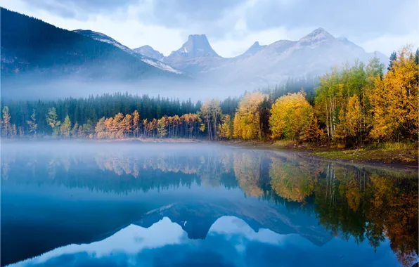 Autumn, forest, nature, surface, reflection, tops, mountain lake