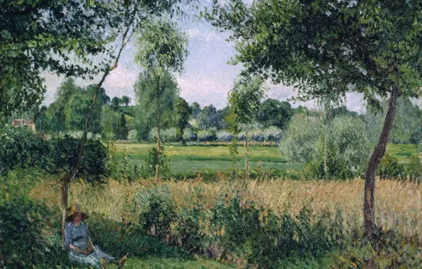 Picture trees, landscape, stay, shadow, picture, Camille Pissarro, Morning. Solar Effect. Eragny