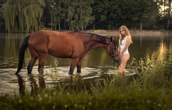 Forest, water, girl, trees, nature, river, horse, panties
