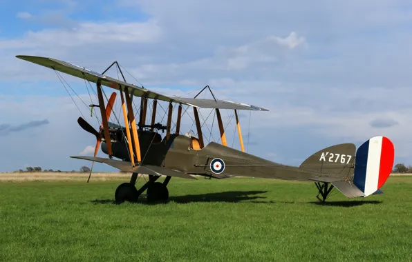 English, The first world war, Royal Aircraft Factory, spy plane, used, in the period, R.E.8