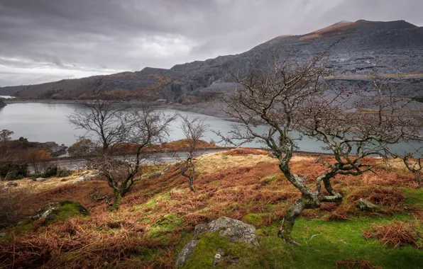 Clouds, trees, landscape, mountains, lake, Wales, Snowdonia