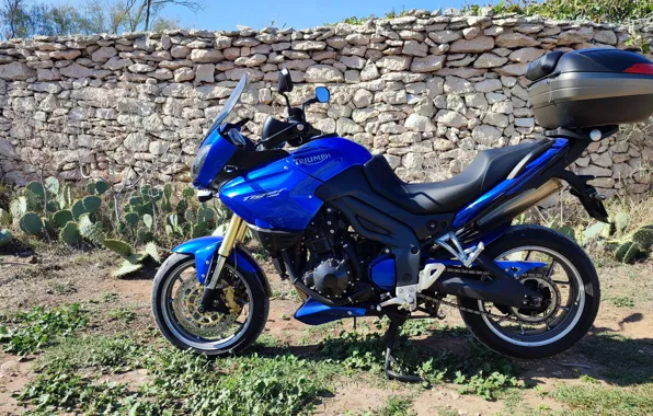 Tiger, tiger, Triumph, triumph, 1050